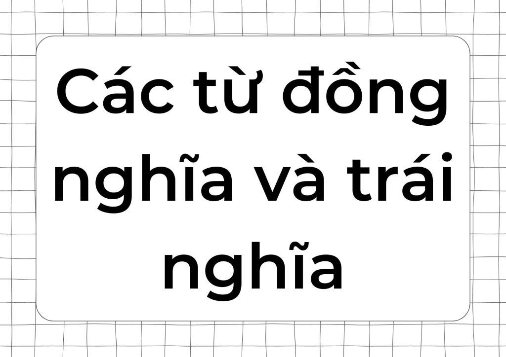 Các từ đồng nghĩa và trái nghĩa